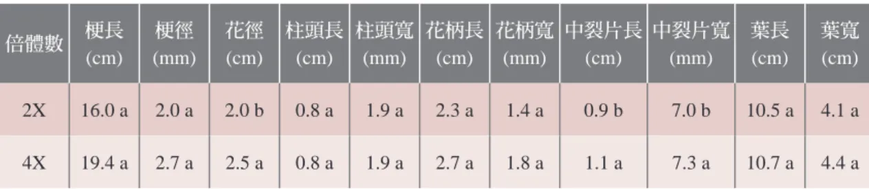 表 5-6. 比較2倍體藍紫色蝴蝶蘭P. equestris fma. coerulea與其誘導所得之4倍體植株之園藝性狀