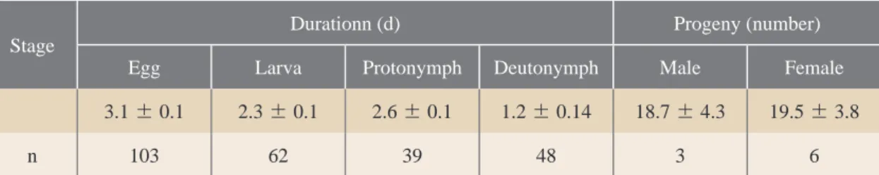 表 6-4. Tyrophagus putrescentiae在25℃各蟎期之發育天數與子代數 (Mean ± SEM)