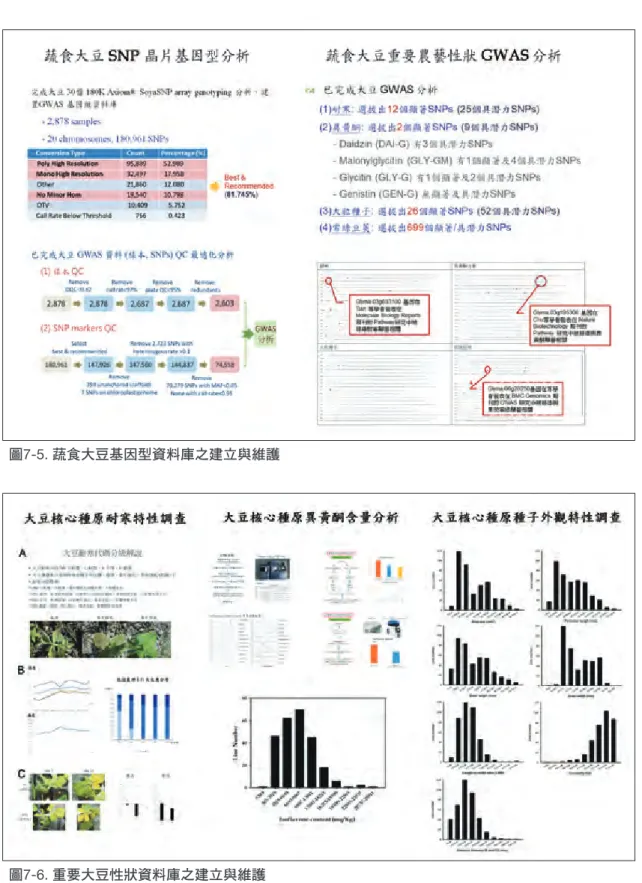 圖 7-5. 蔬食大豆基因型資料庫之建立與維護