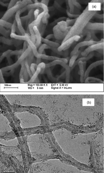 Fig. 2. Micrographs of CNTs (a) SEM and (b) TEM.