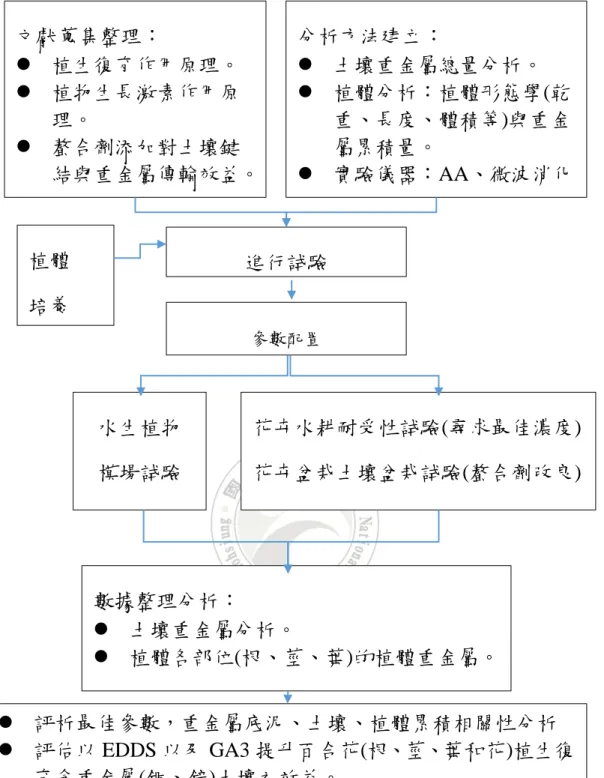 圖  3.1 實驗架構 文獻蒐集整理：  植生復育作用原理。  植物生長激素作用原理。  螯合劑添加對土壤鍵結與重金屬傳輸效益。  盆栽土壤背景參屬蒐 分析方法建立：   土壤重金屬總量分析。   植體分析：植體形態學(乾重、長度、體積等)與重金屬累積量。   實驗儀器：AA、微波消化儀等。 進行試驗 參數配置 植體 培養 水生植物 模場試驗  花卉水耕耐受性試驗(尋求最佳濃度) 花卉盆栽土壤盆栽試驗(螯合劑改良) 數據整理分析：  土壤重金屬分析。  植體各部位(根、莖、葉)的植體重金屬