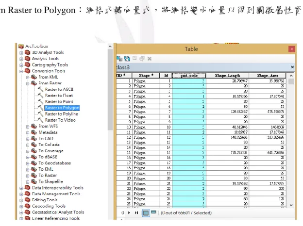 圖  3-3- 3 From Raster to Polygon 