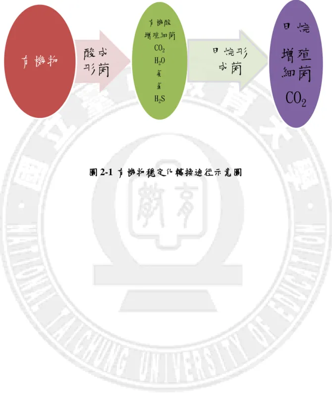 圖 2-1  有機物穩定化轉換途徑示意圖 酸成形菌有機物 甲烷形成菌有機酸增殖細菌CO2H2O氨氫H2S 甲烷增殖細菌CO2