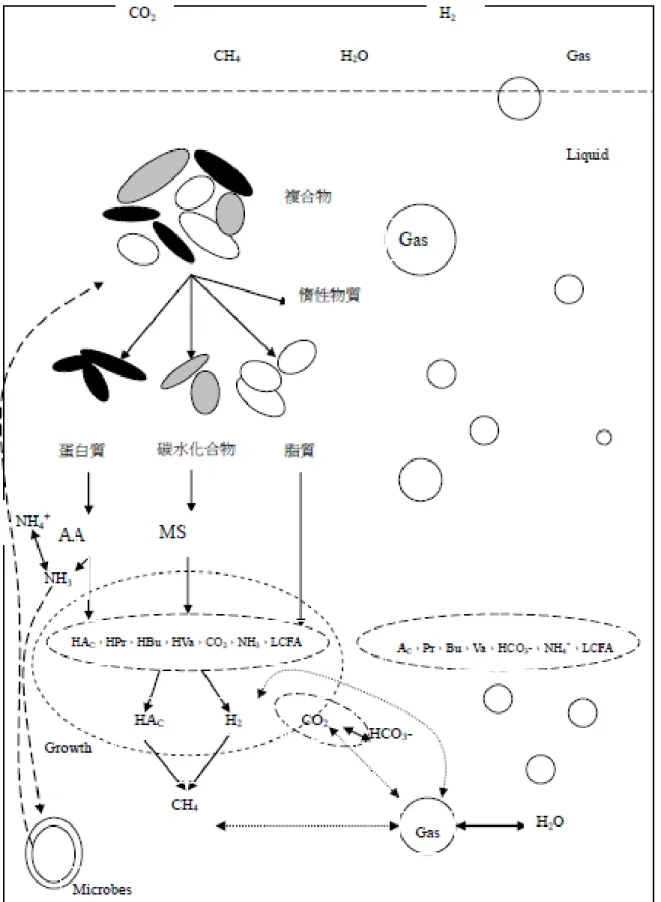 圖 2-2  厭氧消化轉換過程型態 