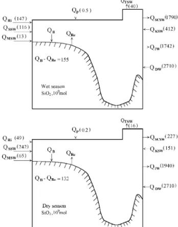 Fig. 8. Si budgets in the wet and dry seasons.