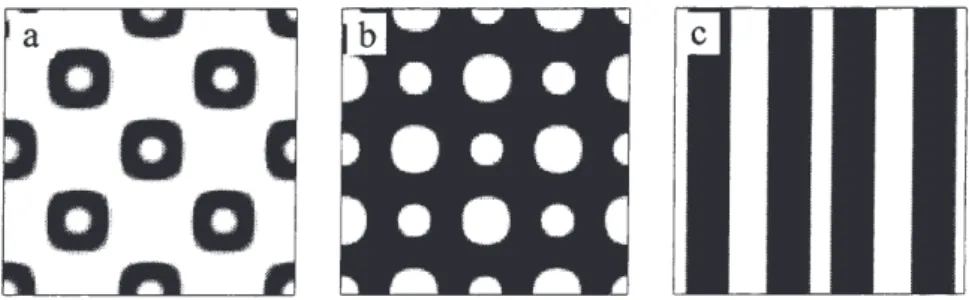 Fig. 3. Typical examples of the complex patterns observed in two dimensions. (a) Rings (b) Interspersed large and small spots and (c) Alternating broad and narrow stripes