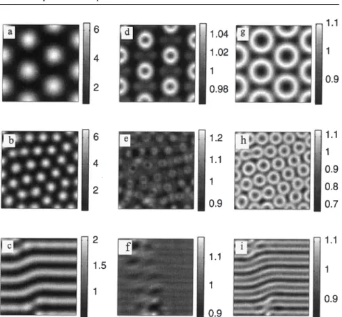 Fig. 5. Cell patterning under chemical concentrations obtained by numerical simulation of the Turing system