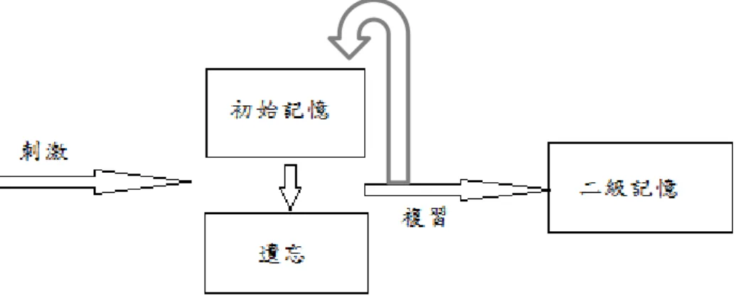圖 2-2Waugh  與 Norman  的記憶模式 