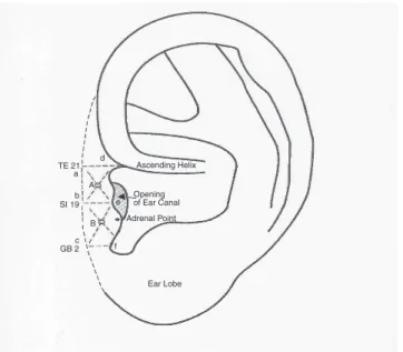 FIG.  1. Addiction  acupoints,  including  Wei  Wei  point  on  the Lung Meridian