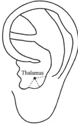 FIG. Acupuncture point on ear for adjusting appetite