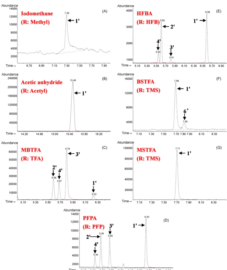 Fig. 2. Ion chromatograms of NBUP resulting from its reaction with various derivatization reagents: iodomethane (A), acetic anhydride (B), MBTFA (C), PFPA (D), HFBA (E), BSTFA (F), and MSTFA (G)