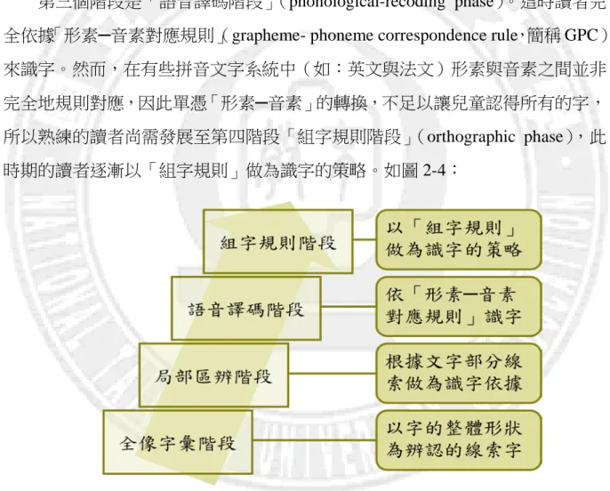 圖 2-4  Harris and Coltheart  的識字發展理論  資料來源：研究者自行繪製