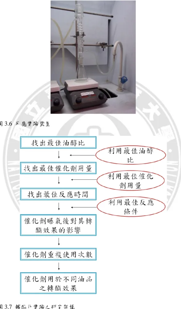 圖 3.6  反應實驗裝置 