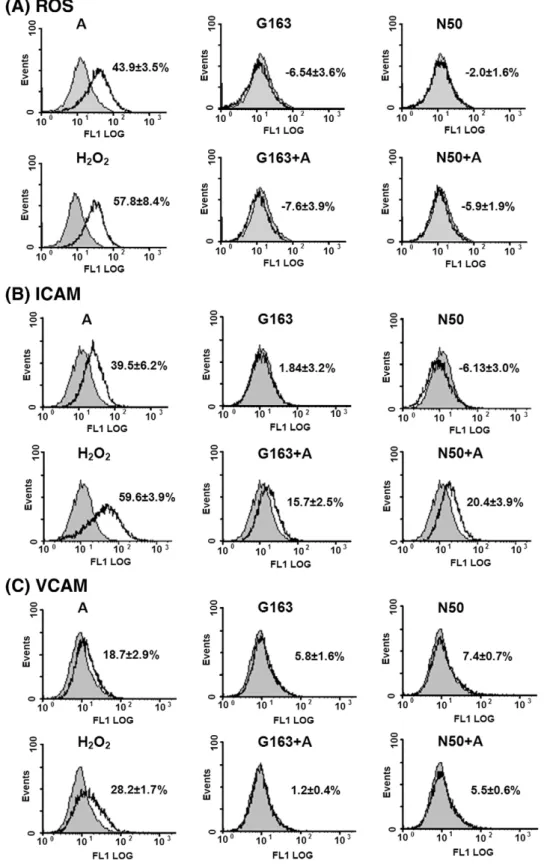 Fig. 2. Glutathione pretreatment reduced arecoline-induced ROS production and ICAM and VCAM expression