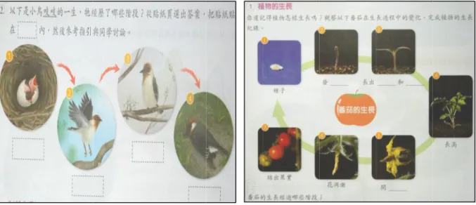 圖 4-2- 4-2-三 三 三 三、 、、、 「「「 「與環境互動與環境互動與環境互動與環境互動 在表 教育版佔  在「3--6    教育版圖 4-2-7    與環境互動與環境互動與環境互動與環境互動在表 4-1-3 中教育版佔 8.3%；-3 其它」中 表 4 3-1 適應環境的特徵 3-2 對環境的反應 3-3 其它   (註：數字表示 教育版「瞭解動植物生命週期7    教育版「與環境互動與環境互動與環境互動與環境互動」」」」次主題概念分布次主題概念分布次主題概念分布次主題概念分布中，可以看出在