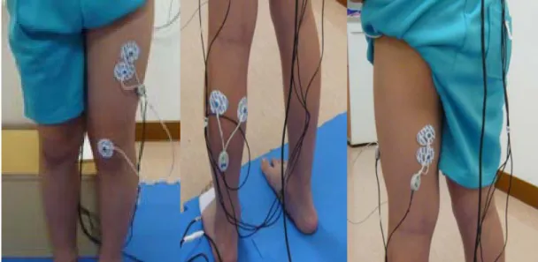 圖 3-5 電極片黏貼位置，由左至右分別為股直肌、腓腸肌和股二頭肌 