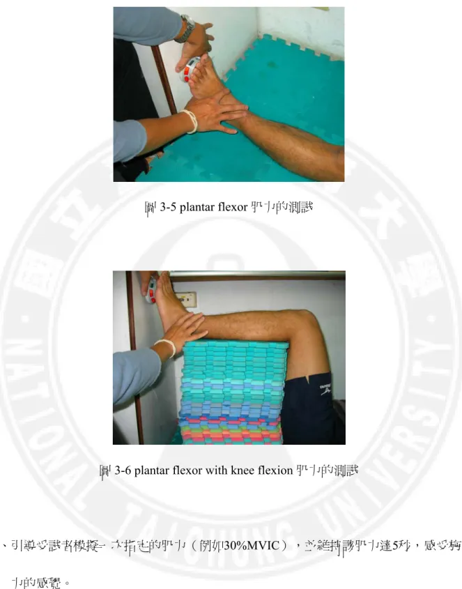 圖 3-5 plantar flexor 肌力的測試 