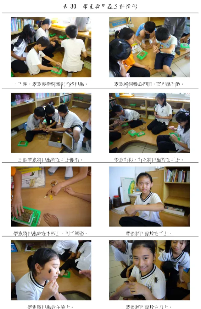 表 30  學童與甲蟲互動情形 