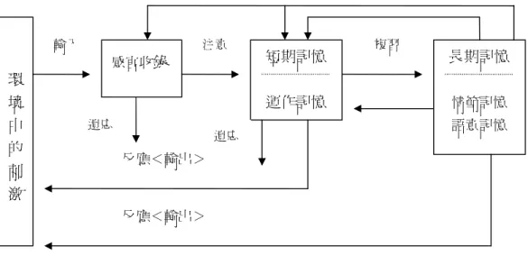 圖 2 - 1 - 2 訊息處理心理歷程圖（引自張春興，1 9 9 6 ，p 2 2 5 ） 訊息處理理論學者指出，個體在處理訊息時會經過一定的心理歷程 （圖 2 - 1 - 2 ），而 此一歷程包括三階段，即感官收錄、短期記憶、長期記憶，長期記憶也就是保持訊息長 久不忘的記憶( permanent memory) ( 張春興，1 9 9 6 ) 。長期記憶中保存訊息的方法可區分成 兩類，一是語意記憶，另一是情節記憶。語意記憶指的是以語文的方式來記憶訊息 ( 張 春興，1 9 9 6 ) 。情節記憶是利用心
