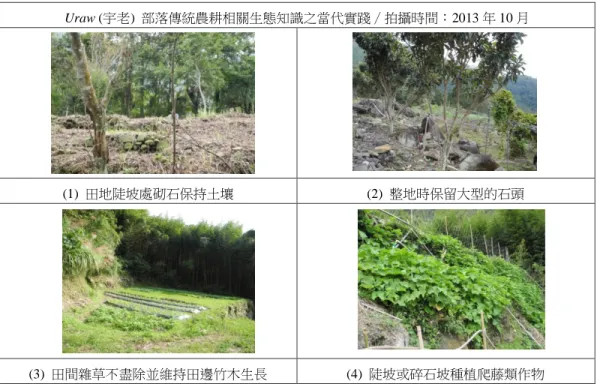 圖 9  傳統農耕相關生態知識之當代實踐  (1) 