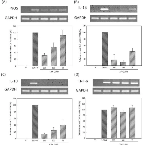 Figure 4. Effects of ethyl caffeate (6) on LPS-induced iNOS, IL-1β, IL-10 and TNF-α  mRNA expression in RAW264.7 cells