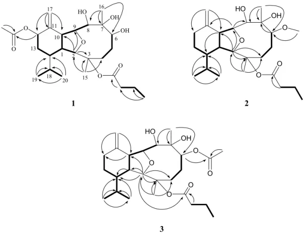 Figure 1. Selected  1 H − 1 H COSY (▬) and HMBC (→) correlations of 1–3. 