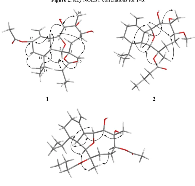 Figure 2. Key NOESY correlations for 1–3.  110 2 3 1516891214 18 1 2 3