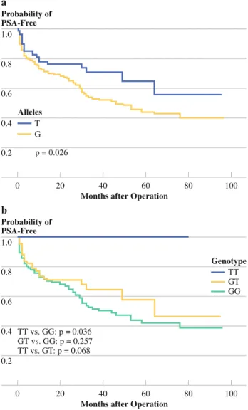 FIG. 1 Kaplan-Meier analysis of time to prostate-specific antigen (PSA) recurrence after radical prostatectomy, stratified by (a) alleles and (b) genotypes at tumor necrosis factor receptor superfamily member 11b (TNFRSF11B) rs10505346