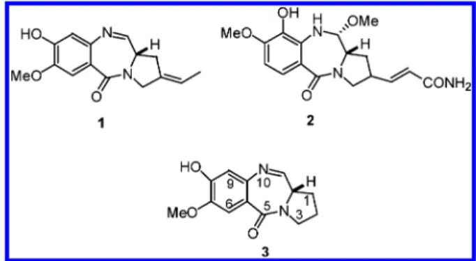 Figure 1. PBD analogues.
