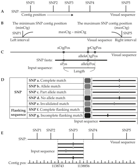 Figure 1. Examples and principles for visualization of the output of target single nucleotide polymorphism (SNP) alignment