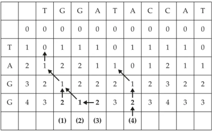 Figure 4.  Homologous alignment and possible homologous sequences.