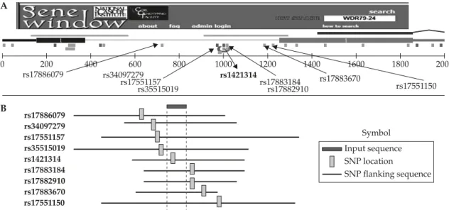 Figure 6.  Example of the overlapping nature of several sequences containing single nucleotide polymorphisms
