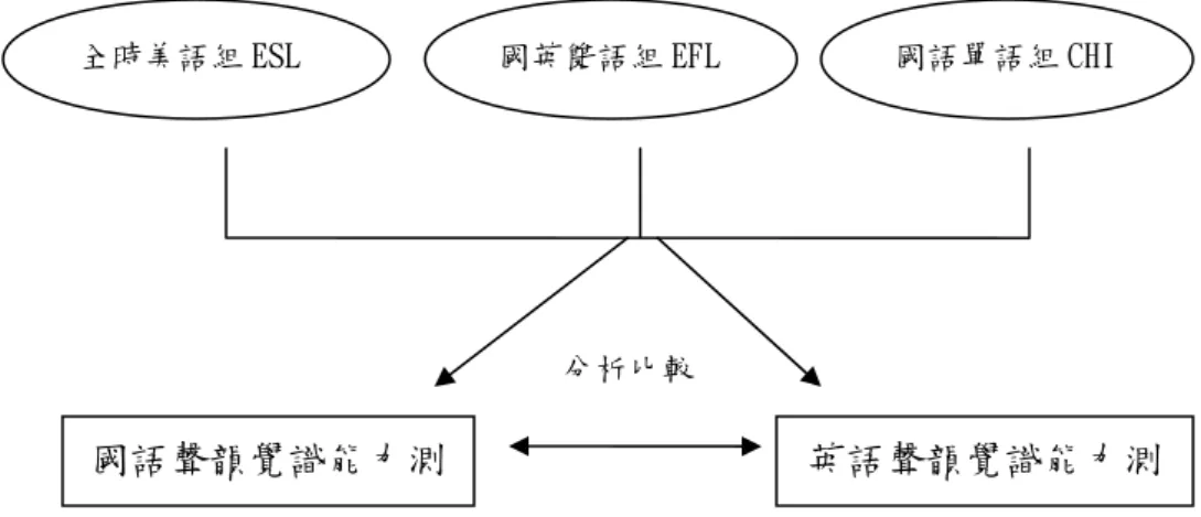 圖 3-1 研究架構圖  第二節 研究對象  壹、研究對象  本研究之母群體為母語為國語之台中市幼稚園大班學童，依第二語言學習背 景之不同分為母語為國語之全時美語(ESL)、國英雙語(EFL)與國語單語(CHI)三 組。  貳、抽樣方法  本研究採立意抽樣，依英語教學時數及在校英語使用之情形選出，公立國小 附設幼稚園、私立雙語幼稚園及私立全美語幼稚園共四所分別代表全時國語、中 英雙語及全時美語三組。先對全校大班(5歲以上)學童進行問卷調查，選出母語 為國語、家庭社經地位中等以上及主要照顧者使用最多之語言為國