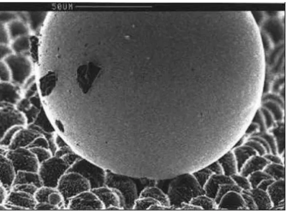 圖 2-3-3 電子顯微鏡下觀察水銀與葉面接觸的狀況（蘇俊鐘，2003）  事實上，表面細微的奈米結構在自潔功能上扮演著關鍵的角色。以蓮葉為 例，水珠與葉面接觸的面積大約只佔總面積的2~3%，若將葉面傾斜，則滾動的水 珠會吸附起葉面上的污泥顆粒，一同滾出葉面（圖 2-3-4 左圖），達到清潔的 效果；相形之下，在同樣具有疏水性的光滑表面，水珠只會以滑動的方式移動（圖  2-3-4 右圖），並不會夾帶灰塵離開，因此不具有自潔的能力（蘇俊鐘，2003a）。 即使同樣具有疏水性的表面，在細微結構上的水珠會吸附著灰