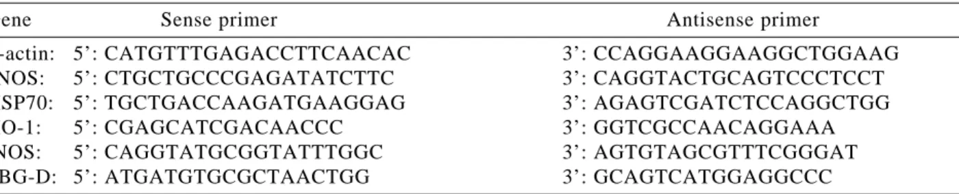 Fig. 1 depicts a procedure for semi-quantitative assessment of gene expression for HO-1 and PBG-D