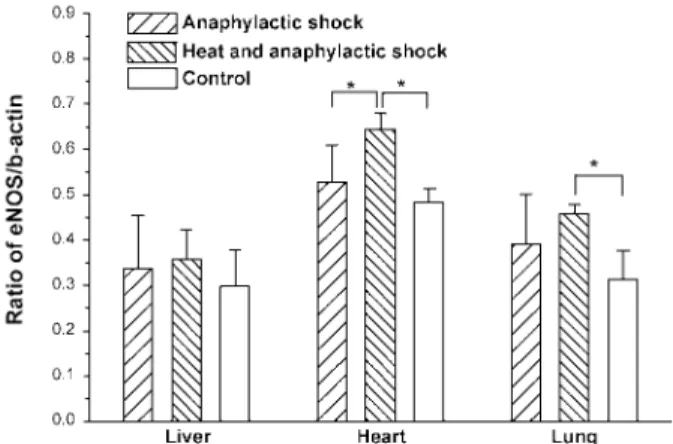 Fig. 2. Expression of endothelial nitric oxide synthase (eNOS) mRNA relative to  β -actin mRNA among different groups of rats using the similar techniques described in Fig