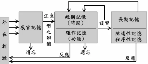 圖 2-3-3  訊息處理中的記憶與遺忘 