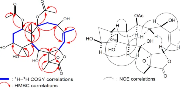 Figure 3. 2D NMR correlations of compound 1. 