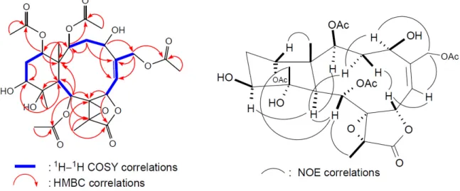 Figure 4. 2D NMR correlations of compound 2. 