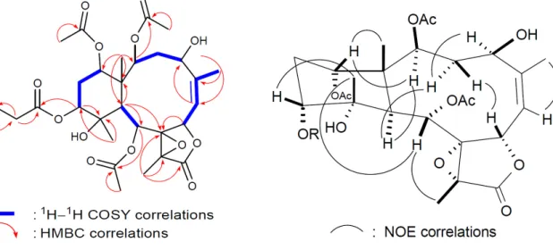 Figure 5. 2D NMR correlations of compound 3. 