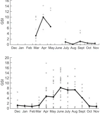 Fig. 5. Temporal variations of the gonadosomatic index (GSI) and  its  mean  (•)  of  female  Liposarcus  multiradiatus from  the main stream (top) and tributaries (bottom) of the Kaoping River, Taiwan