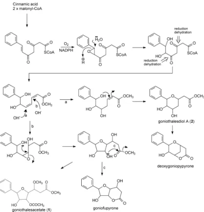 Fig. 3. Biosynthesis Pathway of 1 and 2