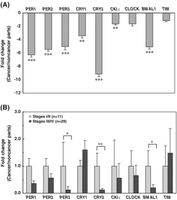 Fig. 1 Expression of circadian clock genes in HNSCC determined by real-time quantitative RT-PCR