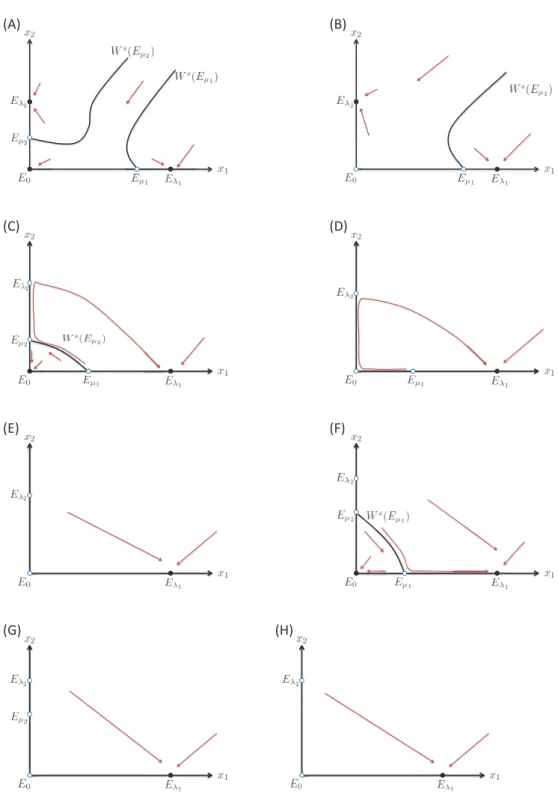 Figure 2: Phase plane (x 1 , x 2 ) depicts global behavior of 2-species competition. The closed and open circles
