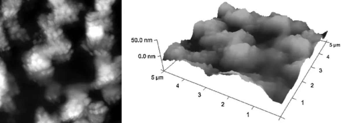 Fig. 7. Atomic force microscopy (AFM) image of thin ﬁlm with [6,6]-3c/P3HT as an active layer.