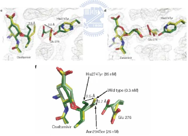 Figure 5 – The binding of inhibitors with oseltamivir-resistant influenza virus neuraminidase 