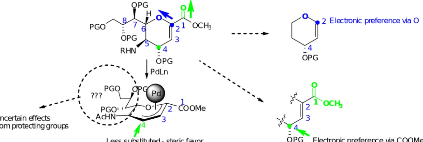 Figure 10 - Paradox in regioselectivity - Pd(0)-catalyzed substitution in Neu5Ac2en