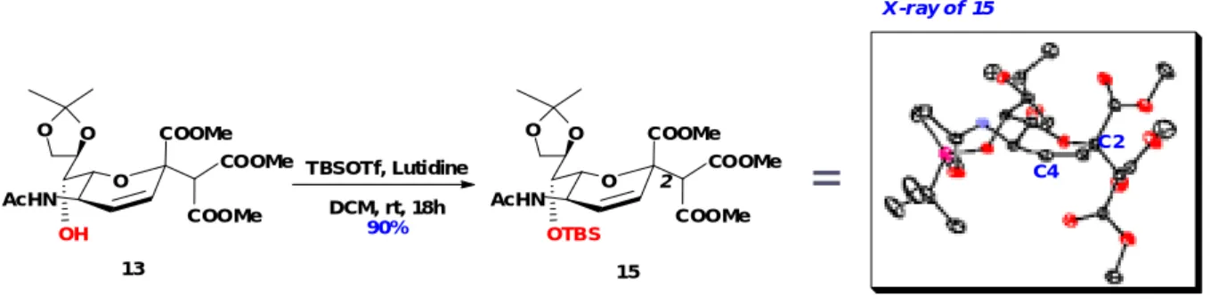 Figure 15 - TBS protection of 13 and X-ray of 15 