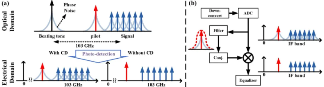 Fig. 1. Depiction of (a) the origin of the CD-induced PN and (b) PN elimination by PPNS