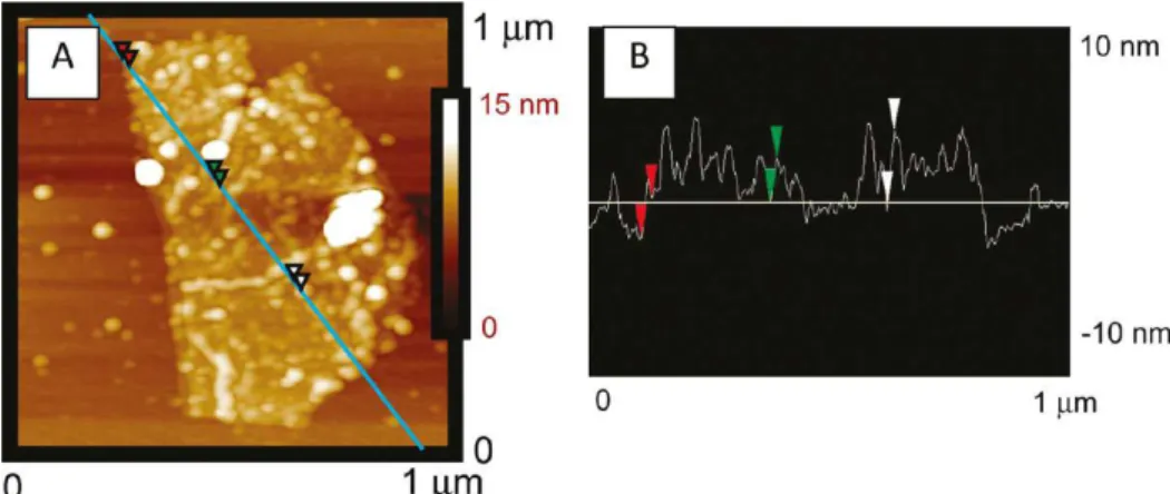 圖 4.1.2.22(A)為 GO-TiO 2 複合物之原子力學顯微鏡(Atomic Force Microscopic, AFM)影像